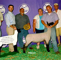 Sheep Winners